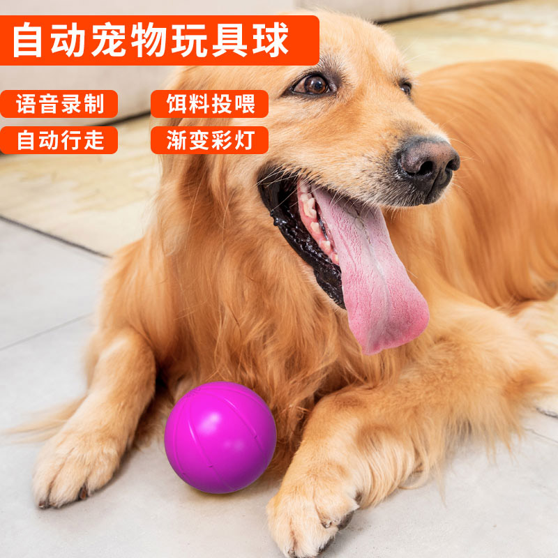 自动宠物玩具球-蓝